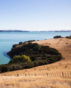 Walks for when you need them - Tāmaki Makaurau