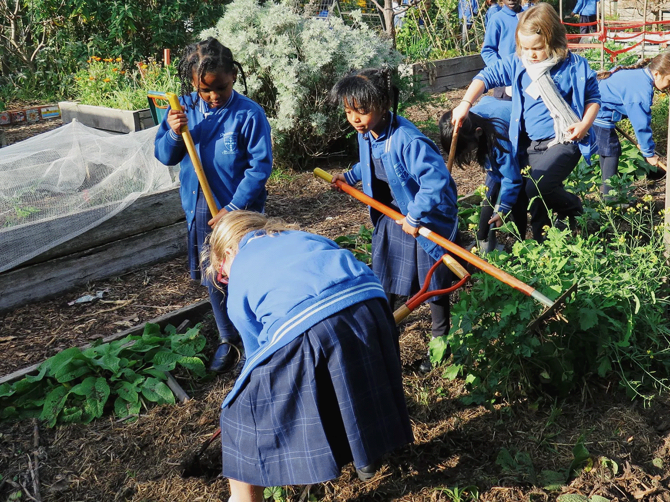 Garden to Table